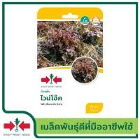 ราคา East West Seed เมล็ดพันธุ์ผักสลัด Lettuce seeds ไวน์โอ๊ค เมล็ดพันธุ์ผัก เมล็ดพันธุ์ ผักสวนครัว เมล็ดผักสลัด ตราศรแดง (13106218304)