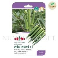 ราคา กระเจี๊ยบเขียว ควีนสตาร์ เมล็ดพันธุ์ ศรแดง (17120265878)