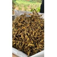 ราคา เห็ดลมทอดสมุนไพร ปริมาณ 50 กรัม ทอดใหม่ กรอบ อร่อยไม่เหนียว (23789256205)