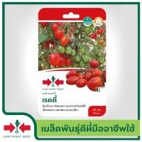 ราคา East West Seed เมล็ดพันธุ์มะเขือเทศเชอร์รี่ Tomato seeds เรดดี้ เมล็ดพันธุ์ผัก เมล็ดพันธุ์ ผักสวนครัว ตราศรแดง (1898264452)