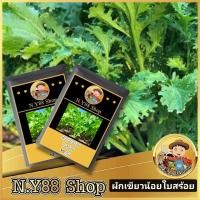 ราคา 5แถม1 เมล็ดพันธุ์ผักกาดเขียวน้อย ใบสร้อย 2000เมล็ด เมล็ดพันธุ์ผักกาดหั่น เมล็ดพันธุ์ผักสวนครัว เมล็ดพันธุ์ผักปลอดสาร คัดพันธุ์คุณภาพ อัตราการงอกสูง (22251917207)