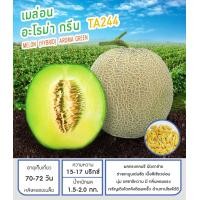 ราคา เมล็ดพันธุ์เมล่อน แคนตาลูป ลูกผสม (19798865381)