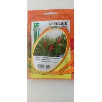 ราคา พริกหอม พริกหอมสวน พริกหอมสุพรรณ พริกขี้หนูสวน พริกขี้หนู พริกขี้หนูหอม พริกส้มสั้น พริกส้มยาว พริกส้ม เมล็ดพริกต่างๆ พันธุ์พริก 8 (11793769526)