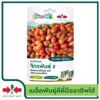 ราคา East West Seed เมล็ดพันธุ์มะเขือเทศผลรีจักรพันธ์2 จันกะผัก เมล็ดพันธุ์ผัก เมล็ดพันธุ์ ผักสวนครัว ตราศรแดง (14000862296)