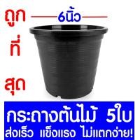 ราคา กระถางต้นไม้ กระถางพลาสติก ขนาด 6 นิ้ว 5ใบ กระถางกลม กระถางต้นไม้พลาสติก กระถางปลูกต้นไม้ กระถางดำ กระถางพลาสติกดำ Flower pot (2067620706)