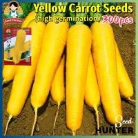 ราคา เมล็ดพันธุ์ แครอทสีเหลือง เมล็ดแครอท เมล็ดแครอทเหลือง Yellow Carrot Seeds 300เมล็ด แพ็ค ของแท้ 100 ปลูกง่าย อัตรางอกสูง Organic Vegetable Seeds for Planting เมล็ดพันธุ์แท้ OP เมล็ดพันธุ์ผัก ผักออร์แกน