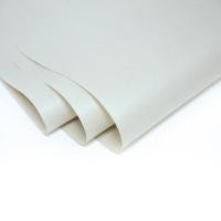 ราคา พร้อมส่ง ถาดเพาะต้นอ่อน ไร้ดิน Seed Sprouter Tray Germination Tray Hydroponics Basket ไม่ต้องใช้ดิน เพาะต้นอ่อนทานตะวัน ต้นอ่อนข้าวสาลี ผักบุ้ง โตวเหมี่ยว (10910383638)