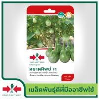 ราคา East West Seed เมล็ดพันธุ์มะเขือเปราะ Eggplant seeds หยาดทิพย์ F1 เมล็ดพันธุ์ผัก เมล็ดพันธุ์ ผักสวนครัว ตราศรแดง (1898250666)