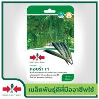 ราคา East West Seed เมล็ดพันธุ์บวบงู Luffa seeds คอบร้า F1 เมล็ดพันธุ์ผัก เมล็ดพันธุ์ ผักสวนครัว บวบงู ตราศรแดง (1898248885)