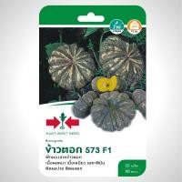 ราคา East West Seed เมล็ดพันธุ์ฟักทอง Pumpkin seeds ข้าวตอก 573 F1 เมล็ดพันธุ์ผัก เมล็ดพันธุ์ ผักสวนครัว ตราศรแดง (1898240782)