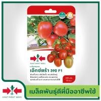 ราคา East West Seed เมล็ดพันธุ์มะเขือเทศ Tomato seeds เอ็กซ์ตร้า 390 F1 เมล็ดพันธุ์ผัก เมล็ดพันธุ์ ผักสวนครัว มะเขือเทศ มะเขือเทศท้อ ตราศรแดง (1898290200)