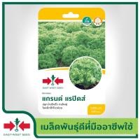 ราคา East West Seed เมล็ดพันธุ์ผักกาดหอม Lettuce seeds แกรนด์แรปิดส์ เมล็ดพันธุ์ผัก เมล็ดพันธุ์ ผักสวนครัว ผักสลัด ตราศรแดง (1898264445)