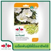 ราคา East West Seed เมล็ดพันธุ์ดอกพระจันทร์ Moonflower seeds ชมจันทร์ เมล็ดพันธุ์ผัก เมล็ดพันธุ์ ผักสวนครัว ตราศรแดง (1898242639)