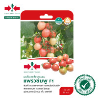ราคา East West Seed เมล็ดพันธุ์มะเขือเทศ Tomato seeds แพรวชมพู F1 เมล็ดพันธุ์ผัก เมล็ดพันธุ์ ผักสวนครัว เมล็ดพันธุ์มะเขือเทศสีดา ตราศรแดง (1898254688)