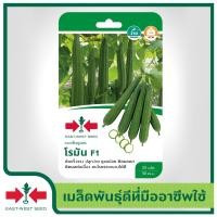 ราคา East West Seed เมล็ดพันธุ์บวบเหลี่ยม Luffa seeds โรมัน F1 เมล็ดพันธุ์ผัก เมล็ดพันธุ์ ผักสวนครัว บวบเหลี่ยม ตราศรแดง (1898256816)