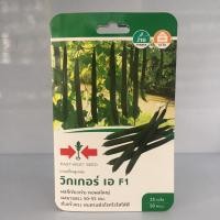 ราคา บวบเหลี่ยม วิกเกอร์ เอ 25เมล็ด ศรแดง (7937703168)