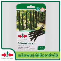 ราคา East West Seed เมล็ดพันธุ์บวบเหลี่ยม Luffa seeds วิกเกอร์เอ F1 เมล็ดพันธุ์ผัก เมล็ดพันธุ์ ผักสวนครัว บวบเหลี่ยม ตราศรแดง (1898274419)
