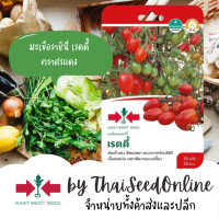 ราคา GGEW เมล็ดพันธุ์ซฟ มะเขือเทศเชอร์รี่เรดดี้ 50เมล็ด ตราศรแดง (1409502896)