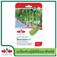 ราคา East West Seed เมล็ดพันธุ์ มะเขือยาวสีเขียวลูกผสม CELOSIA CR SEEDS โทมาฮอค F1 เมล็ดพันธุ์ผัก เมล็ดพันธุ์ ผักสวนครัว ตราศรแดง (12201591893)