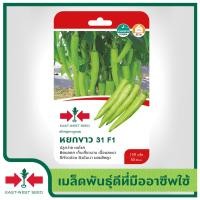 ราคา East West Seed เมล็ดพันธุ์พริก Hot pepper seeds หยกขาว 31 F1 เมล็ดพันธุ์ผัก เมล็ดพันธุ์ ผักสวนครัว เมล็ดพันธุ์พริกหนุ่ม ตราศรแดง (1898248864)