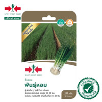 ราคา East West Seed เมล็ดพันธุ์ต้นหอม พันธุ์หอม ONION BUNCH เมล็ดพันธุ์ ผักสวนครัว ตราศรแดง (23913824960)