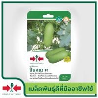 ราคา East West Seed เมล็ดพันธุ์แฟง Wax gourd seeds ปิ่นทอง F1 เมล็ดพันธุ์ผัก เมล็ดพันธุ์ฟัก เมล็ดพันธุ์ ผักสวนครัว ตราศรแดง (4945678931)