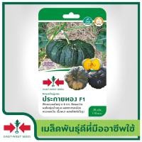 ราคา East West Seed เมล็ดพันธุ์ฟักทอง Pumpkin seeds ประกายทอง F1 เมล็ดพันธุ์ผัก เมล็ดพันธุ์ ผักสวนครัว ตราศรแดง (1898276345)
