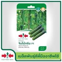 ราคา East West Seed เมล็ดพันธุ์แตงร้าน Cucumber seeds จัมโบ้กรีน F1 เมล็ดพันธุ์ผัก เมล็ดพันธุ์ ผักสวนครัว ตราศรแดง (1898274316)