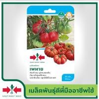 ราคา East West Seed เมล็ดพันธุ์มะเขือเทศ Tomato seeds เพทาย เมล็ดพันธุ์ผัก เมล็ดพันธุ์ ผักสวนครัว มะเขือเทศฟักทอง ตราศรแดง (1898262381)