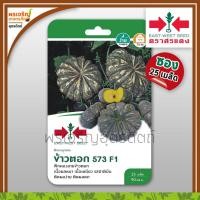 ราคา เมล็ดพันธุ์ฟักทอง ฟักทองข้าวตอก 573 F1 แบบซอง เมล็ดฟักทองศรแดง ฟักทองลูกผสม เมล็ดพันธุ์ผักสวนครัว ตราศรแดง (10840318818)