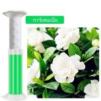 ราคา เจลดับกลิ่นชักโครก เจลหอม เจลทำความสะอาด เจลลดคราบ ชักโครก ห้องน้ำ น้ำยาทำความสะอาดน้ำหอมปรับอากาศ เจลดับกลิ่นห้องน้ำ (24411621348)