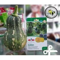 ราคา เมล็ดพันธุ์ ฟักทอง ถุงทอง ศรแดง (397759814)