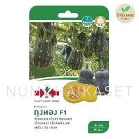 ราคา ฟักทอง ถุงทอง เมล็ดพันธุ์ ศรแดง (17124542197)