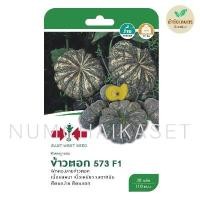 ราคา ฟักทอง ข้าวตอก 573 เมล็ดพันธุ์ ศรแดง (17124560142)