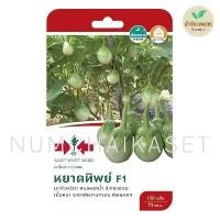 ราคา มะเขือเปราะ หยาดทิพย์ เมล็ดพันธุ์ ศรแดง (17125643848)