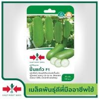 ราคา East West Seed เมล็ดพันธุ์แฟง Wax gourd seeds ปิ่นแก้ว F1 เมล็ดพันธุ์ผัก เมล็ดพันธุ์ฟัก เมล็ดพันธุ์ ผักสวนครัว ตราศรแดง (1898286336)