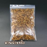 ราคา พร้อมส่ง หนอนนก หนอนอบแห้ง หนอนนก dried mealworm หนอนชูก้า หนอนปลา สำหรับ นก หนู ชูก้า หนอนอบแห้ง สัตว์เล็ก เม่นแคระ ปลา แมลงอบแห้ง เต่า สำหรับสัตว์เล็ก (20521647449)