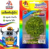 ราคา RAINBOWHORSE รวมผักม้ารุ้ง ผักซอง ม้ารุ้ง ผักสลัด 10 กว่าชนิด กรีนโอ๊ค เรคโอ๊ค คอส สลัด ผักนอก เมล็ดพันธุ์ เมล็ดพันธุ์ผัก ผักสวนครัว (19136795915)