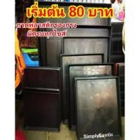 ราคา ถาดพลาสติกรองกรงสัตว์เลี้ยง ถาดรองกรง ถาดรองกรงสุนัข ถาดรองพื้นกรงสัตว์เลี้ยง ถาดรองพื้นกรงสุนัข (21328834246)