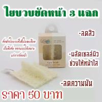 ราคา ใยบวบไทยขัดหน้า เส้นใยละเอียดพิเศษ 3 แฉก 1 ชิ้น ขัดหน้า Scub หน้า Thai Luffa LF01 (20249368160)