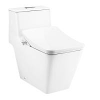 ราคา COTTO ซิมพลี โมดิช C10327 CV8 พร้อมฝารองนั่งอัตโนมัติ C9208 UC (20167520399)