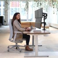 ราคา Ergotron LX Dual Stacking Arm Tall Pole Bright White Matte Black Polish Aluminum 10 Yrs Warranty (15099146990)