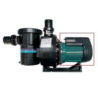 ราคา Emaux SB ปั๊ม มอเตอร์ 1 5แรง SB15 เฉพาะมอเตอร์ (17349586002)