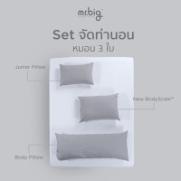 ราคา ฟรี Junior Pillow mr big Bundle Set หมอน Ergonomic New BodyScale และ Body Pillow หรือ Leg Pillow ชุดหมอนจัดท่านอน (23085818786)