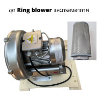 ราคา Ring blower พร้อมกรองอากาศ ดูดอากาศ Ring Blower CTA 750 220 V ขนาด 1 แรงม้าใช้เติมอากาศในบ่อ เพาะเลี้ยงสัตว์น้ำ (16179592929)