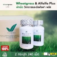 ราคา 2 กระปุก ผักกเม็ด Wheatgrass Alfalfa Plus ผลิตภัณฑ์อาหารเสริมแอมสตรอง วีทกราส อัลฟัลฟ่า พลัส ผักอัดเม็ด สูตรดั้งเดิม (1866934964)