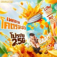 ราคา NEW BAAM MY WHEY MAX 5 lb SUMMER MANGO LIMITED (24561626195)