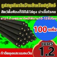 ราคา ปลอดภัยสำหรับเด็ก และสตรีมีครรภ์ ยาจุดกันยุง 1 2เมตร 20แท่ง ธูปไล่ยุง ธูปจัมโบ้ตะใครัไล่ยุง ยากันยุง ไล่ยุงเห็นผลแน่นอน ธูปตะไคร้ไล่ยุง ธูปจัมโบ้ไล่ยุงกลิ่นตะไคร้หอม ธูปจัมโบ้ตะไคร้ ไล่ ยุง ธูมีการใช้