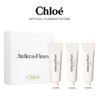 ราคา เซ็ทแฮนด์ครีม Chloé Atelier des Fleurs Handcream Gift Box Cedrus 50 ML Magnolia Alba 50 ML Santalum 50 ML (23662792314)