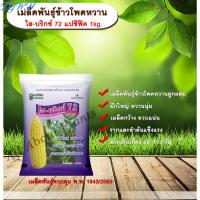 ราคา TGWH เมล็ดพันธุ์ข้าวโพดหวาน ไฮบริกซ์ 72 แปซิฟิค 1 kg เมล็ดพันธุ์ เมล็ดพันธุ์ข้าวโพด ข้าวโพดหวาน ข้าวโพดไฮบริกซ์72 พันธุ์ใหม่ (24764618403)